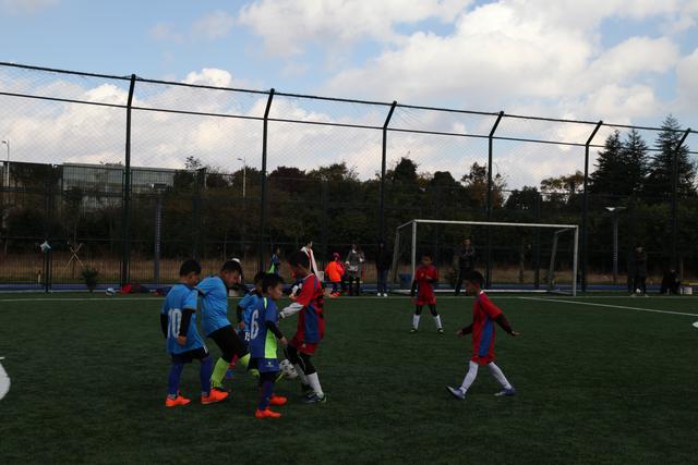 球盟会体育手机版